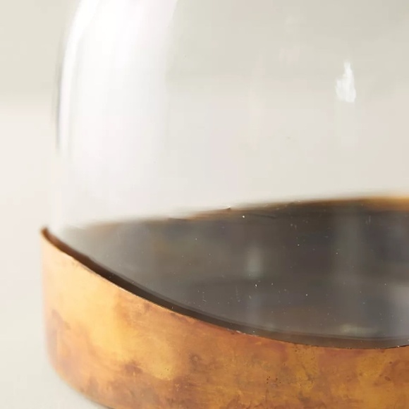 NWT Anthropologie Terrain Cloche Vase - Picture 2 of 4